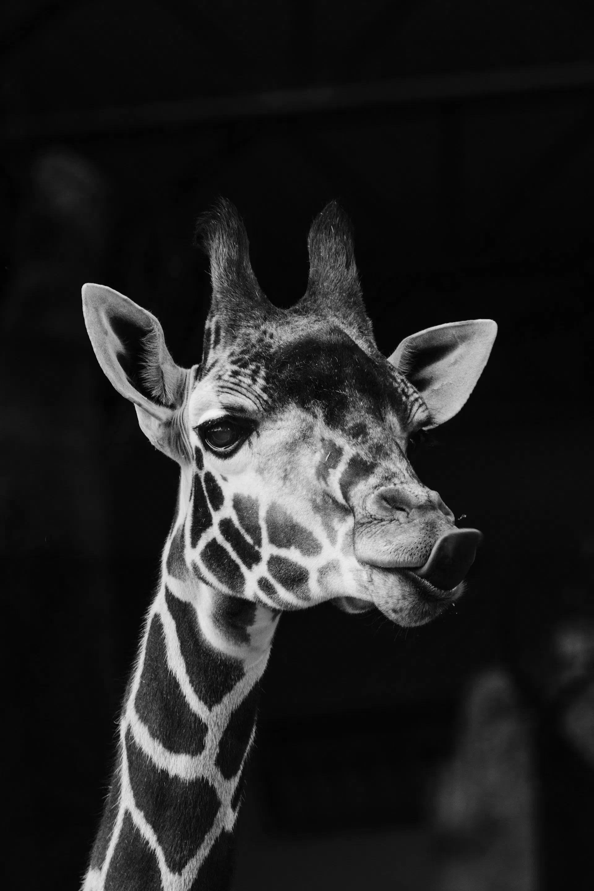Image after grayscale filter